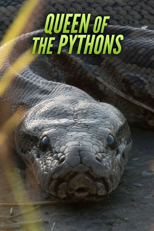 دانلود فیلم Queen of the Pythons