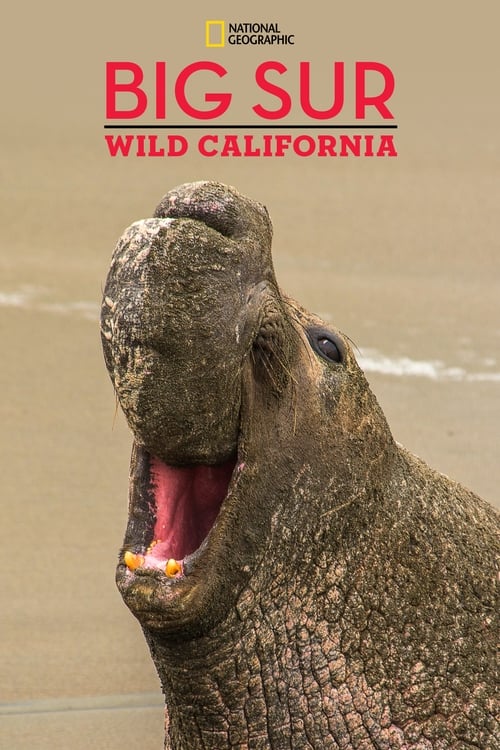 دانلود فیلم Big Sur-Wild California