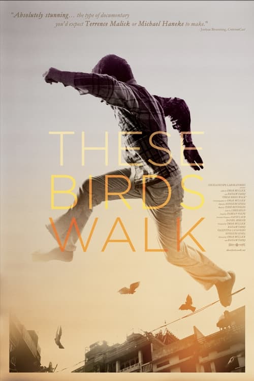 دانلود فیلم These Birds Walk – این پرندگان راه می روند