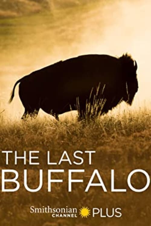 دانلود فیلم The Last Buffalo
